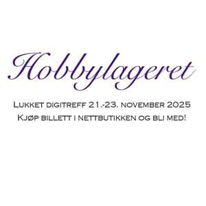 Billett til digitreff 21-23 november 2025