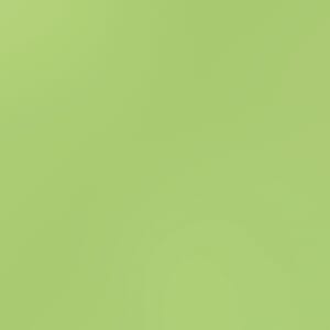 Smooth - Card Shoppe - 12 x 12 - Spearmint Stick