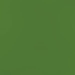 Smooth - Card Shoppe - 12 x 12 - Caramel Apple