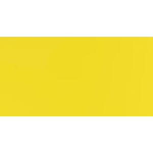 1 ark - Smooth - Card Shoppe - 12 x 12 - Marshmallow Chick