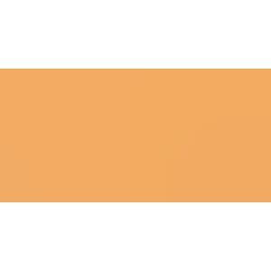 1 ark - Smooth - Card Shoppe - 12 x 12 - Citrus Slice