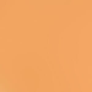 Smooth - Card Shoppe - 12 x 12 - Citrus Slice