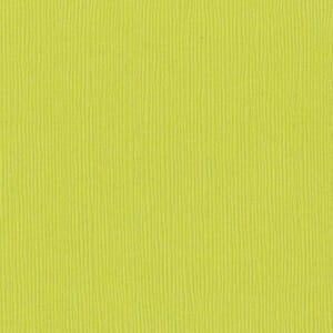 Grasscloth  - Fourz - 12 x 12 - Granny Smith
