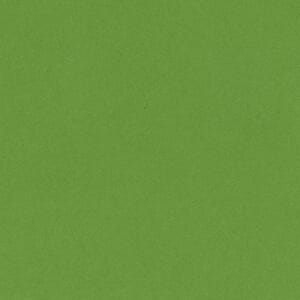 Smooth  - Smoothies - 12 x 12 - Lime Crush