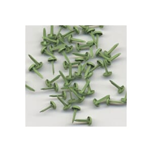 bazzill brads 5 mm Parakeet, 75 pk -  50% RABATT
