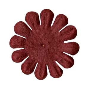 .75 Bachelor Button Flowers: Barkley -  50% RABATT