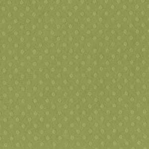Dotted Swiss - 12 x 12 - Irish Eyes