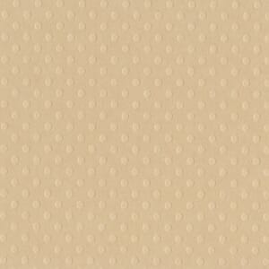 Dotted Swiss - 12 x 12 - Sandbox