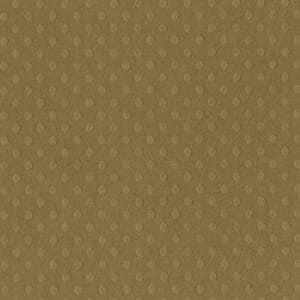 Dotted Swiss - 12 x 12 - Mud Puddle