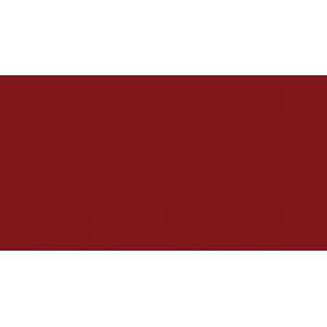 1 ark - Smooth - Card Shoppe - 12 x 12 - Peppermint