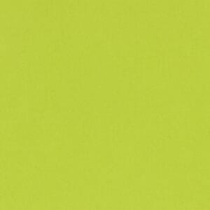 Smooth - Card Shoppe - 12 x 12 - Juicy Pear