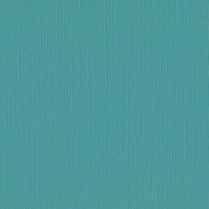 Canvas  - Mono - 12 x 12 - Peacock