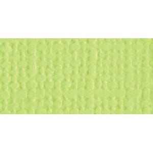 1 ark - Canvas  - Mono - 12 x 12 - Limeade