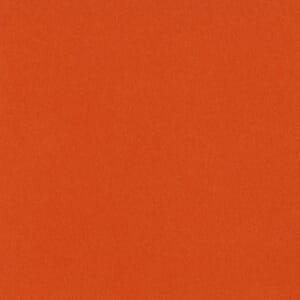 Canvas  - Mono - 12 x 12 - Bazzill Orange