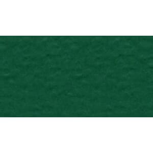 1 ark - Canvas  - Mono - 12 x 12 - Bazzill Green