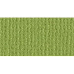 1 ark - Canvas  - Mono - 12 x 12 - Parakeet