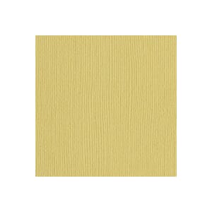12x12 Lima bean Canvas 25 pk - UTGÅR