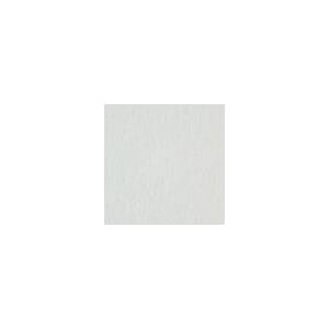 Creative Expressions Foundation Vellum White A4 100gsm Pk10