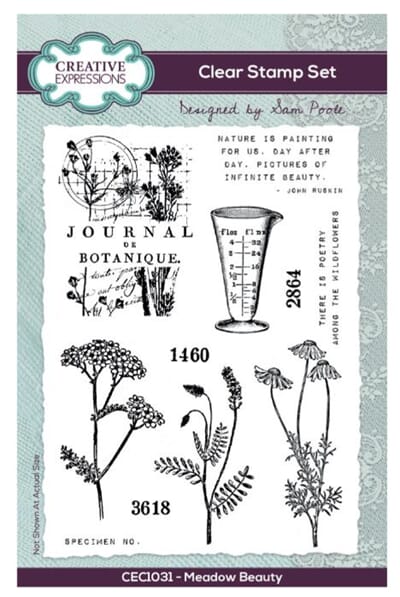 "Creative Expressions Sam Poole Clear Stamp A6 Meadow Beauty CL-CEC1031.JPG