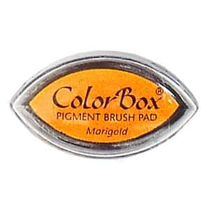 cats eye colorbox, Marigold
