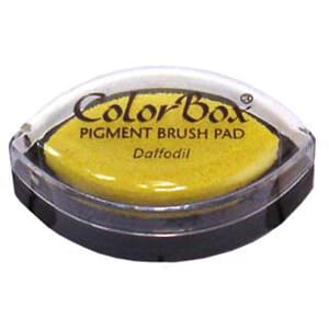 cats eye colorbox, Daffodil
