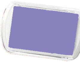 CS71231.jpg