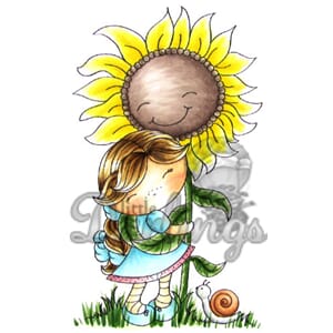 Sunflower Daisy - UTGÅR