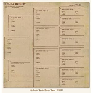 Life stories, Family History Paper