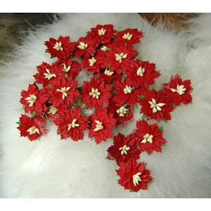 Papirdesign - Julestjerner, beige bær