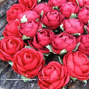 Papirdesign - Poin, rød