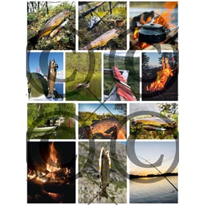 Papirdesign - Fiskemotiv - motivark