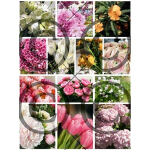 Papirdesign - BLOMSTERKLIPP - Klippeark A4