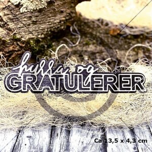 Streaming , Papirdesign mønsterark, 12x12