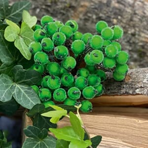 Bær 07, grønn med sukker