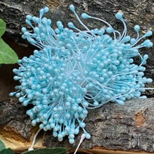 Bær 14, turkis små