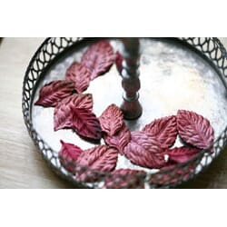 4 SEASONS VELVET LVS