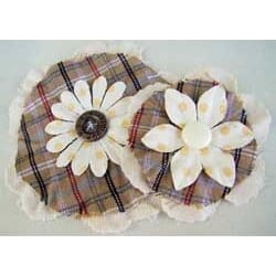 PRAIRIE FLOWERS  KANSAS