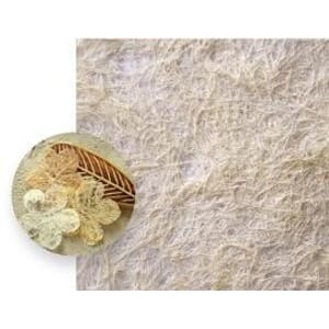 NATURAL OBSESSIONS BOTANICAL C