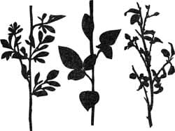 PRI531034.jpg