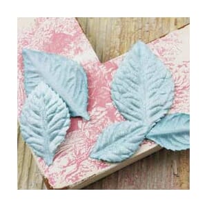 VLVT HEIRLOOM ROSE LVS SEABREE