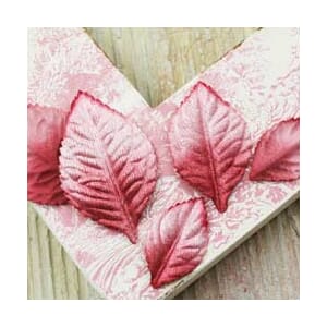 VLVT HEIRLOOM ROSE LVS GINGER