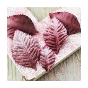 VLVT HEIRLOOM ROSE LVS RUGOSA