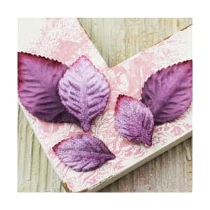 VLVT HEIRLOOM ROSE LVS PLUM