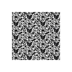 TRANSPARENCY MADISON