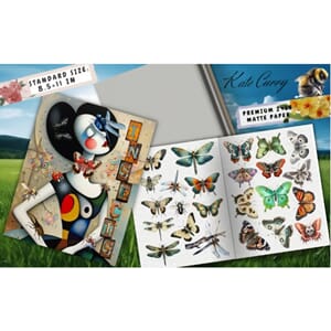 Insects Ephemera Book, Poortoast and Kate Curry