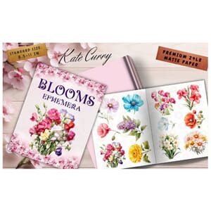 Blooms Ephemera Book, Poortoast and Kate Curry