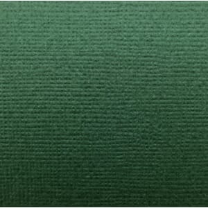 Reprint - Cardstock Green -12x12, 1 ark