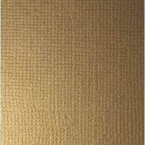 Reprint - Cardstock Latte - 12x12