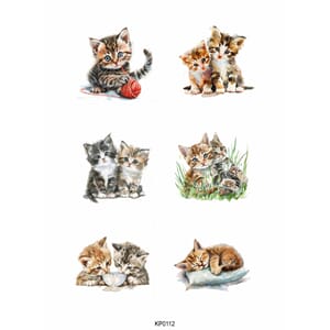 Reprint - Papper Klippark - Kittens - A4