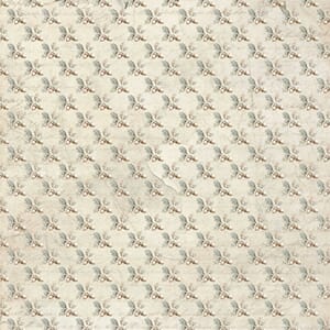 Papper Scrapbooking Reprint - Acorn - 12x12 (